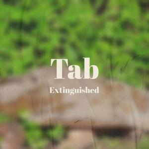 ดาวน์โหลดและฟังเพลง Themself Merry-go-round พร้อมเนื้อเพลงจาก Solomos Hadzic