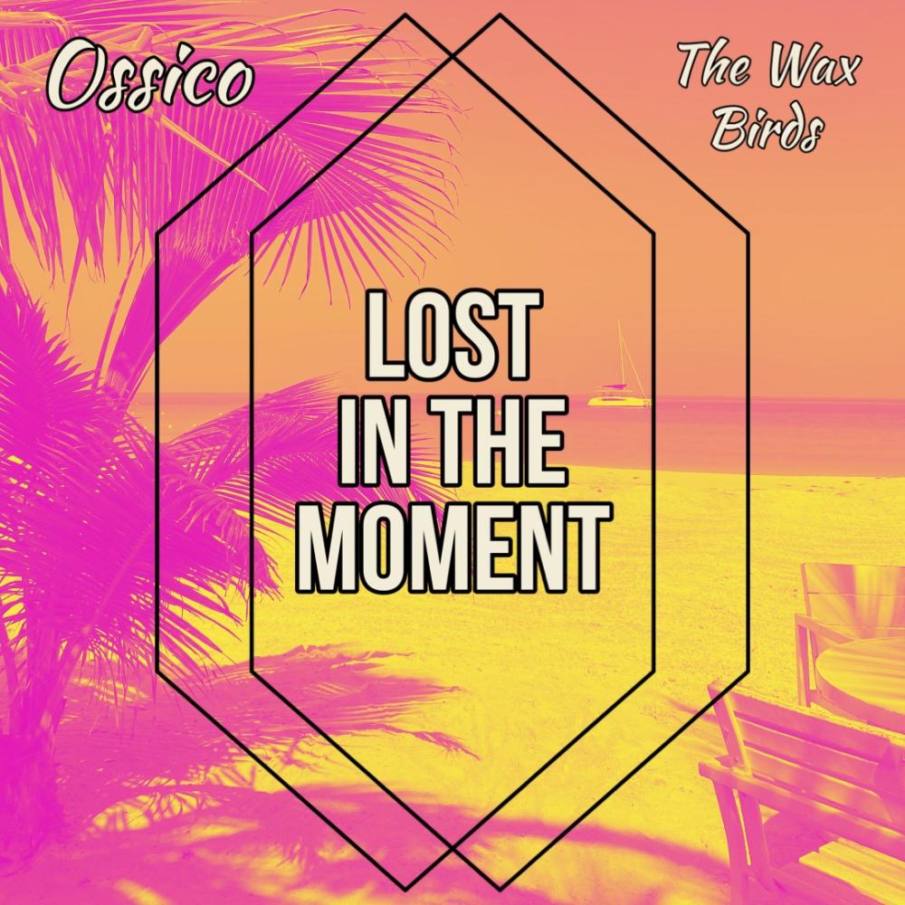 Lost in the Moment (feat. The Wax Birds)