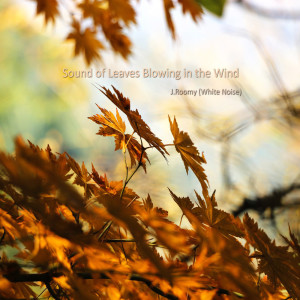 Dengarkan lagu Sound of Leaves Blowing in the Wind nyanyian J.Roomy dengan lirik