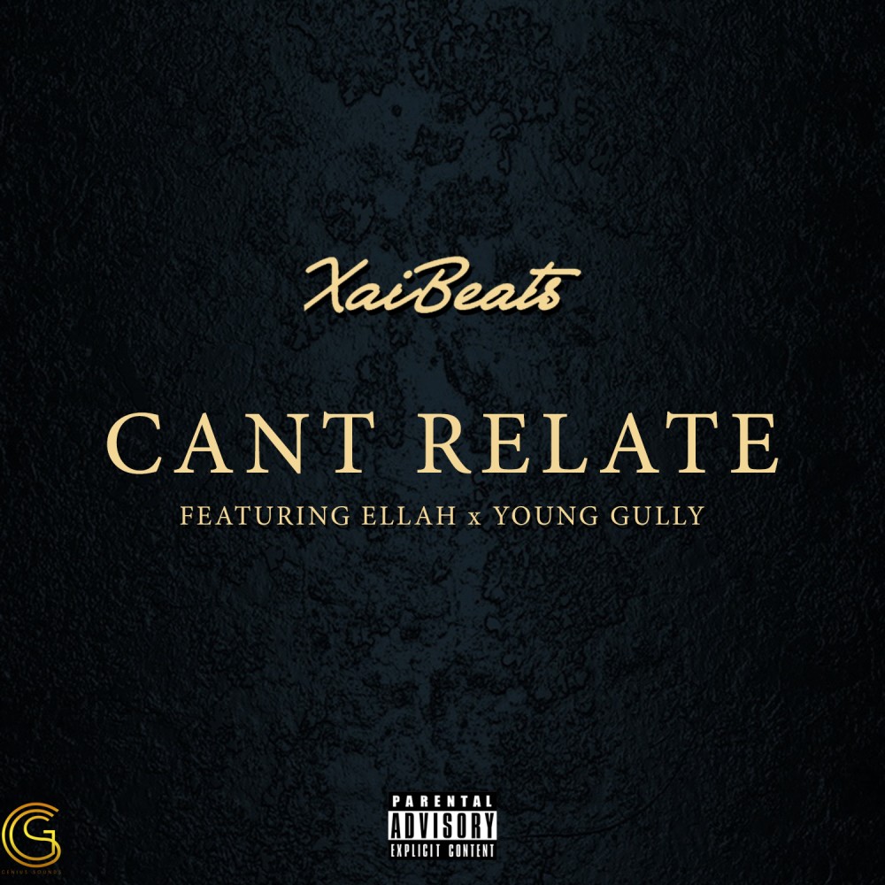Can't Relate (Explicit)