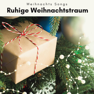 Weihnachts Songs的專輯2022 Ruhige Weihnachtstraum