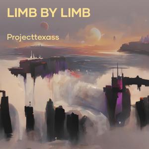 Limb by Limb (Remix) (Explicit)