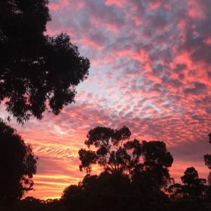 收聽PlugzZone的Hoe Love (feat. Dro)歌詞歌曲