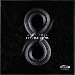 收聽Neef Buck的You Tried It (feat. Young Chris) (其他)歌詞歌曲