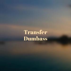 Listen to Transfer Dumbass song with lyrics from Ning Basty