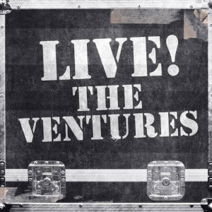 Listen to Bumblebee Twist song with lyrics from The Ventures
