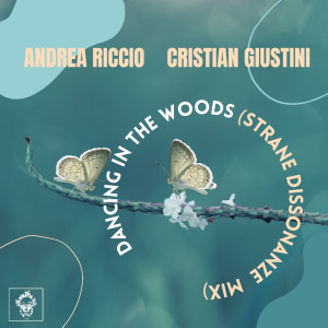 Listen to Dancing In The Woods (Strane Dissonanze Mix) song with lyrics from ANDREA RICCIO