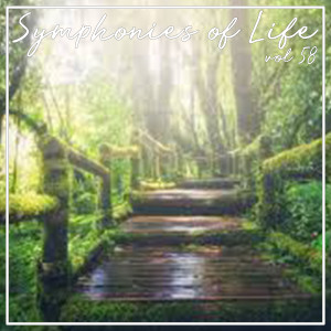 Listen to He, Gyges Du Gehst? Bleib Doch Bei Uns song with lyrics from Monte Pederson