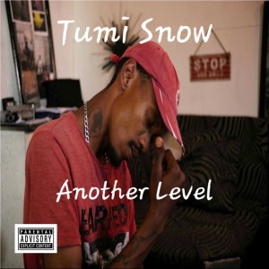 ดาวน์โหลดและฟังเพลง Another Level (Explicit) พร้อมเนื้อเพลงจาก Tumi Snow