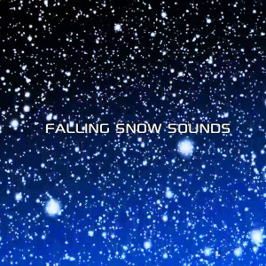 The Nature Sound FX的專輯Falling Snow Sounds