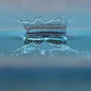的專輯The Great Flood
