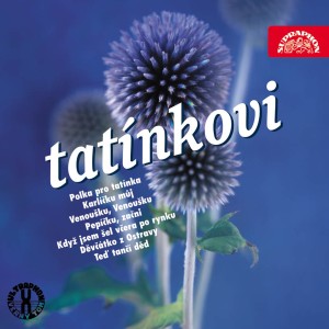 ดาวน์โหลดและฟังเพลง Červená sukýnka พร้อมเนื้อเพลงจาก Marie Pokšteflová