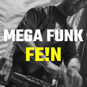 收聽DJ WØLVZ的MEGA FUNK FE!N歌詞歌曲