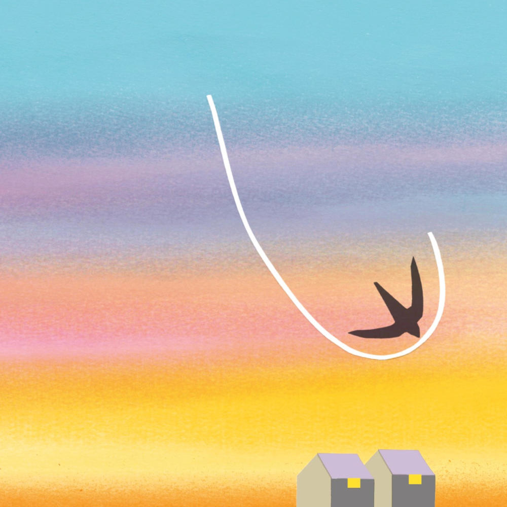 Respire