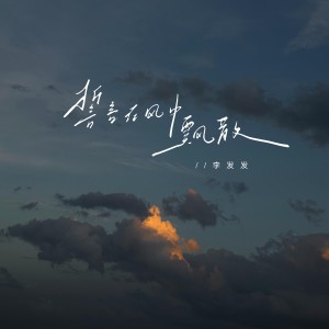 Album 誓言在风中飘散(柔情语录版) from 李发发