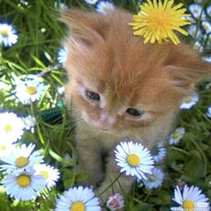 收聽BLUU!的2012 (feat. norah)歌詞歌曲