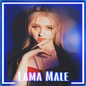 收聽DJ Dhewy的Kuda Yang Mana歌詞歌曲