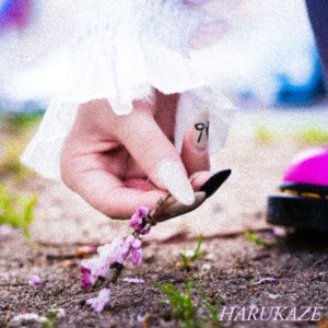 Album HARUKAZE from 真風