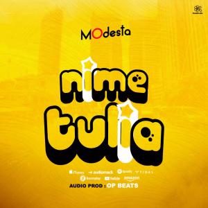 Modesta的專輯Nimetuliaa