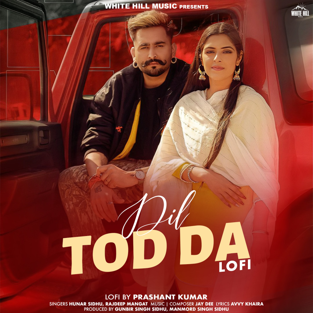 Dil Tod Da Lofi