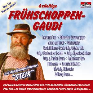 Listen to Pipihendi song with lyrics from Jungen Klostertaler