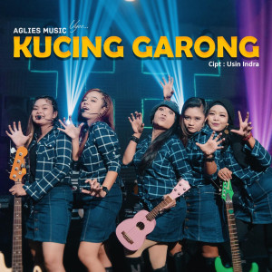 Dengarkan Kucing Garong lagu dari Aglies Music dengan lirik