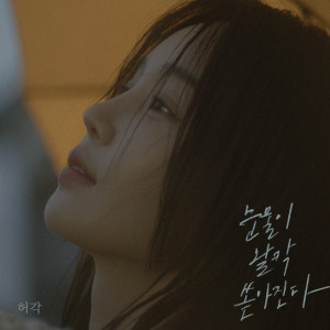 Album 눈물이 왈칵 쏟아진다 from Huh Gak