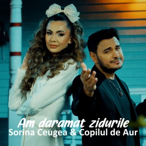 Listen to Am daramat zidurile song with lyrics from Sorina Ceugea