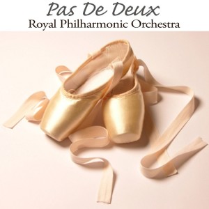 收聽Royal Philharmonic Orchestra的Sleeping Beauty No.28, Pas De Deux歌詞歌曲
