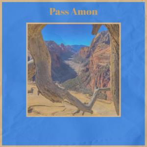 Album Pass Amon from Various