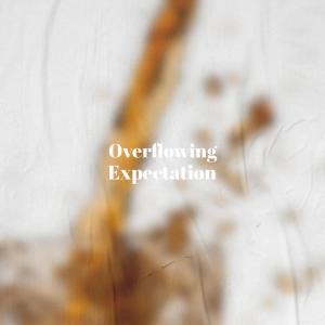 Various的专辑Overflowing Expectation