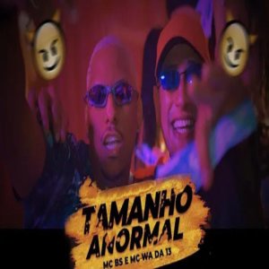 Album Tamanho anormal (Explicit) oleh DJ ALEZINHO