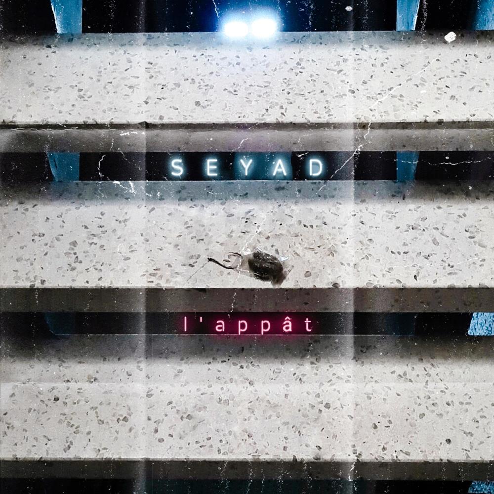 Bissextile (feat. Rhama Le Singe & Stick CMF) (Explicit)