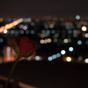 ดาวน์โหลดและฟังเพลง ราตรี (Stay with Me) พร้อมเนื้อเพลงจาก Rose Village