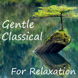 Listen to Music of the Night song with lyrics from Royal Philharmonic Orchestra