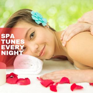 Various Artists的專輯Spa Tunes Every Night