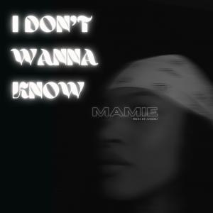 ดาวน์โหลดและฟังเพลง idontwannaknow พร้อมเนื้อเพลงจาก Mamie
