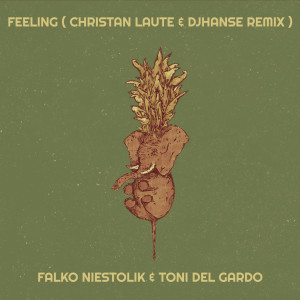 Falko Niestolik的專輯Feeling (Christan Laute & DjHanse Remix)