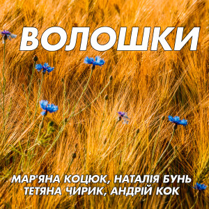 Listen to Чуєш перейду song with lyrics from Тетяна Чирик
