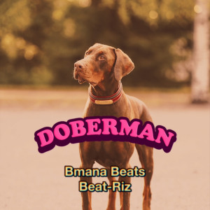 อัลบัม Doberman ศิลปิน Bmana Beats