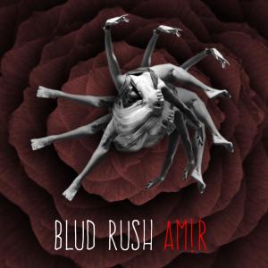 AM!R的專輯Blud Rush (Explicit)
