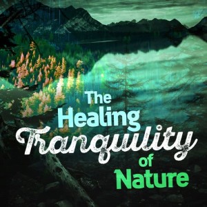The Healing Sounds of Nature的專輯The Healing Tranquility of Nature