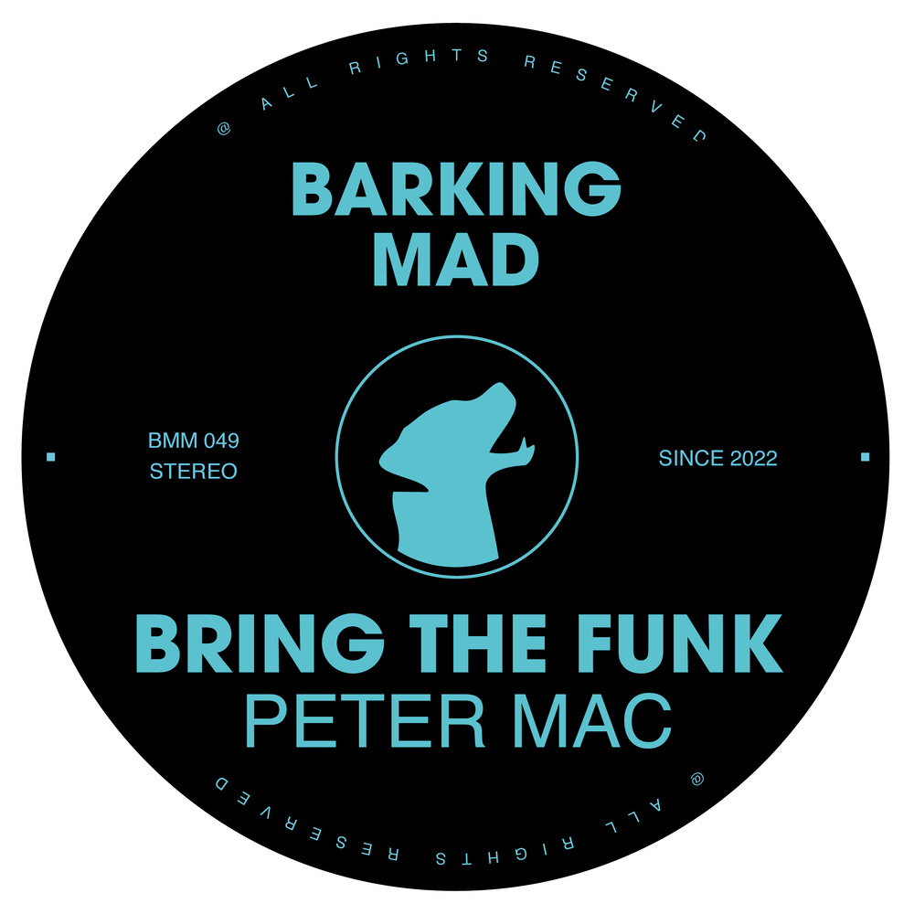 Bring The Funk (Original Mix)