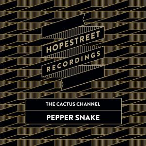 Album Pepper Snake / The Dap from The Cactus Channel