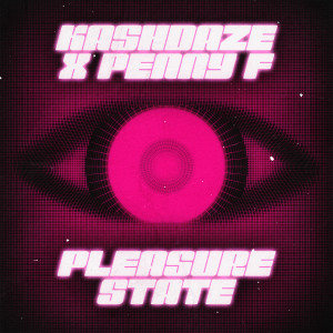 ดาวน์โหลดและฟังเพลง Pleasure State พร้อมเนื้อเพลงจาก Kashdaze