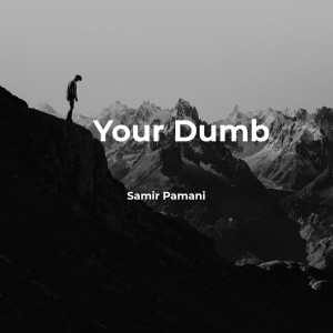 ดาวน์โหลดและฟังเพลง Your Dumb พร้อมเนื้อเพลงจาก Samir Pamani