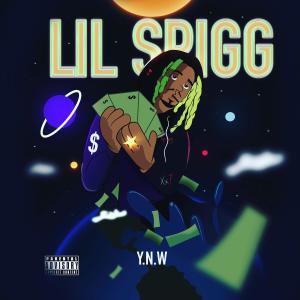 收聽Lil Spigg的Fake love(feat. Lu Bundy) (Explicit)歌詞歌曲