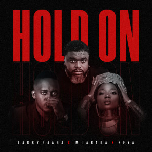 Album Hold On from Larry Gaaga
