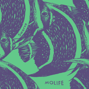 Album Swerve oleh Molife