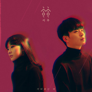 Album A Falling Rain from 시우